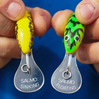 Salmo Hornet Floating Lures