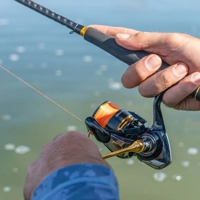 Daiwa 23 Legalis LT Reels
