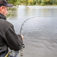 NuFish Affinium Feeder Rods