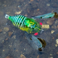 Savage Gear 3D Cicada Lures 3.3cm/3.5g