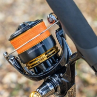 Daiwa 23 Legalis LT Reels