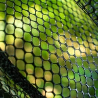 Zebco Latex Fast Net Tele 50cm