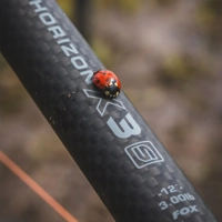 Fox Horizon X3-S Carp Rods