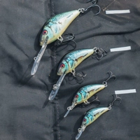 Salmo Hornet Floating Lures