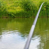 Nufish JC Paste Big Top Pole Floats