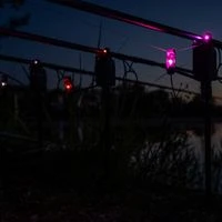 Delkim SmartLite Indicator