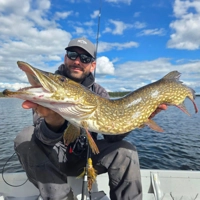 Fox Rage Buck Pike