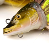 Fox Rage Buck Pike