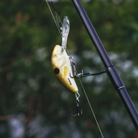 Salmo Hornet Sinking