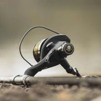 Wychwood Riot FS Carp Reels