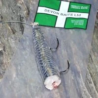 Devon Baits Frozen Joey Mackerel