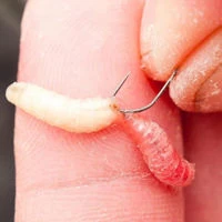 Guru F1 Maggot Barbless Hooks To Nylon