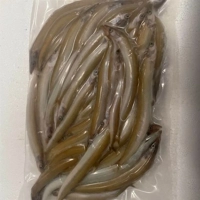 Devon Baits Bulk Frozen Sand Eels