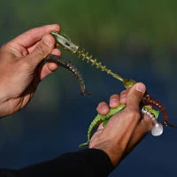 Savage Gear Gobster Shad Packs