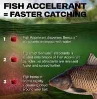 Fjuka Sensate Fish Accelerant 50ml