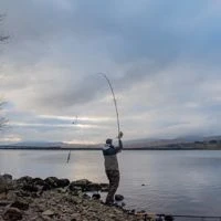 Wychwood Agitator BR-S Long Range Deadbait Rod 12ft 3.75lb