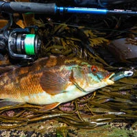 Savage Gear Minnow Weedless Combo