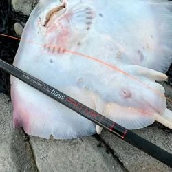 Anyfish Anywhere Bass Pro Rod 12ft 6in