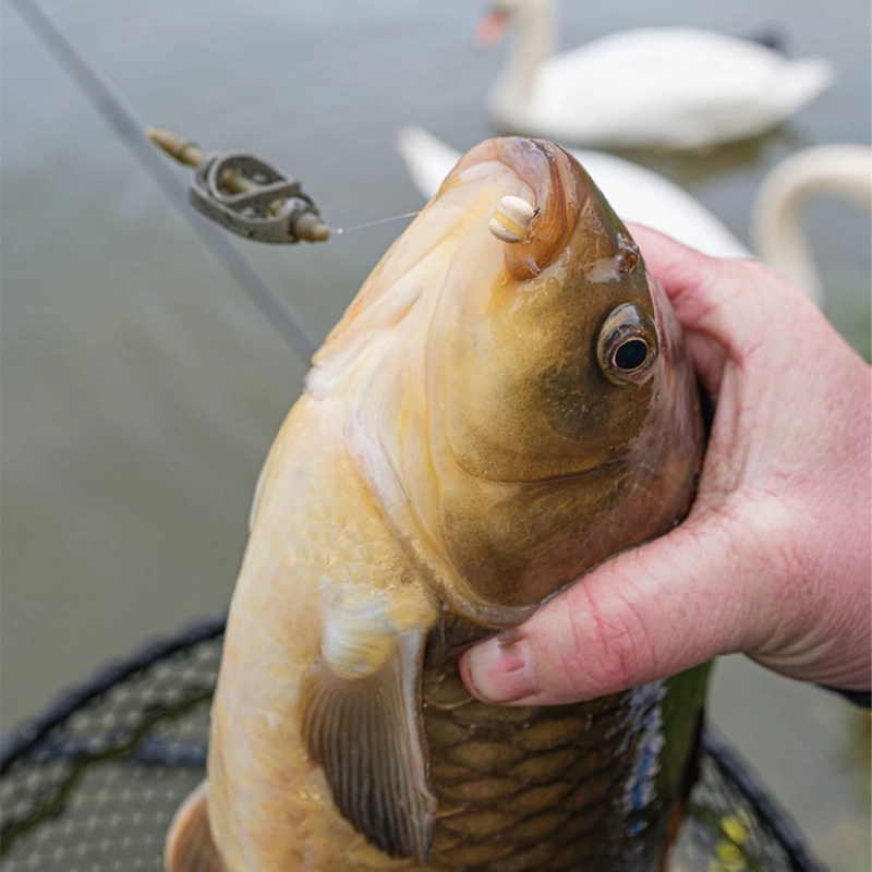 Matrix Method Feeders