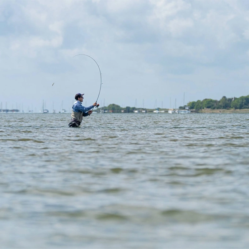 Daiwa Legalis Seabass Lure Rods