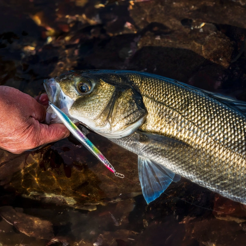 Savage Gear Sandeel Pencil SW Lures 12.5cm/19g