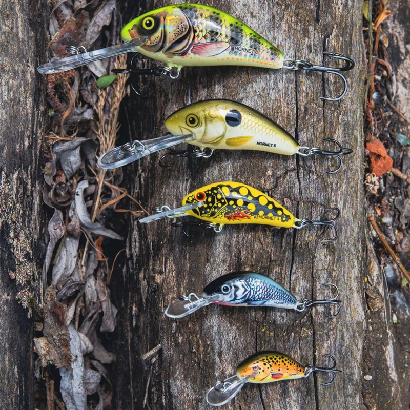 Salmo Hornet Sinking