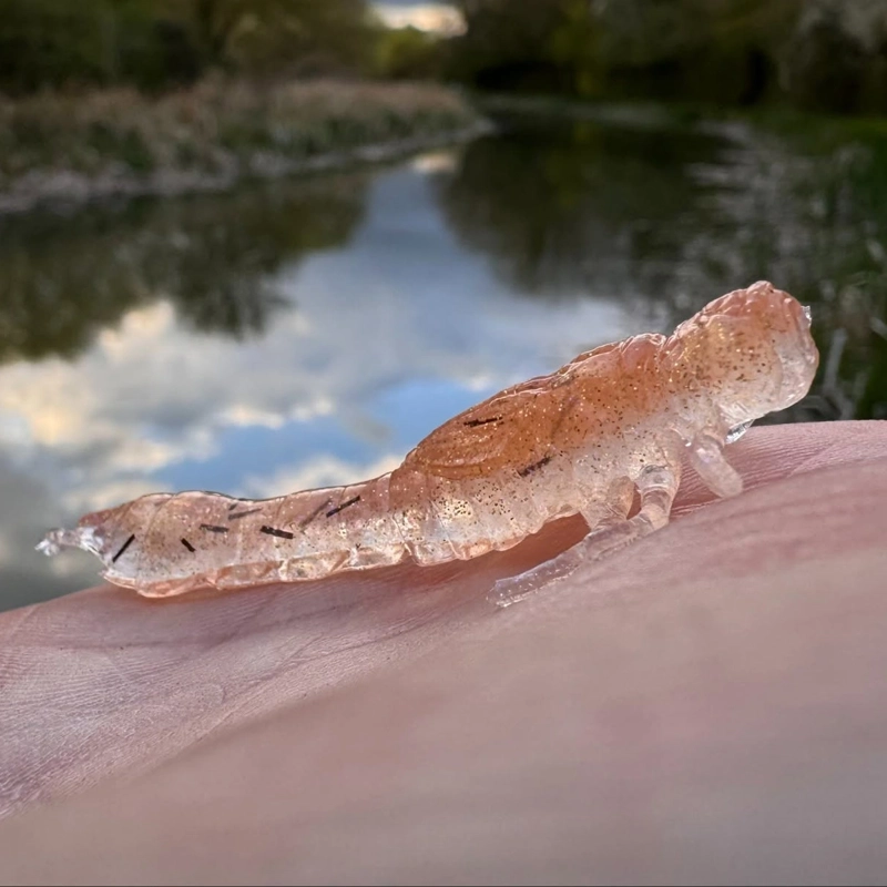 Westin Odonata NED Creaturebaits 6.5cm
