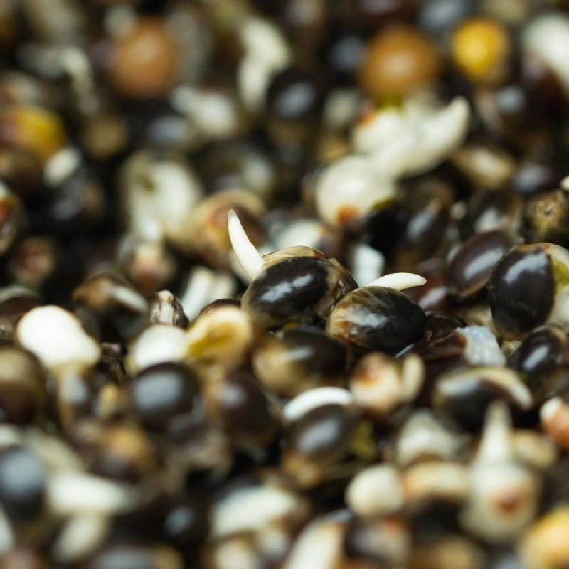 Hinders Prepared Hempseed 3.5L Jar