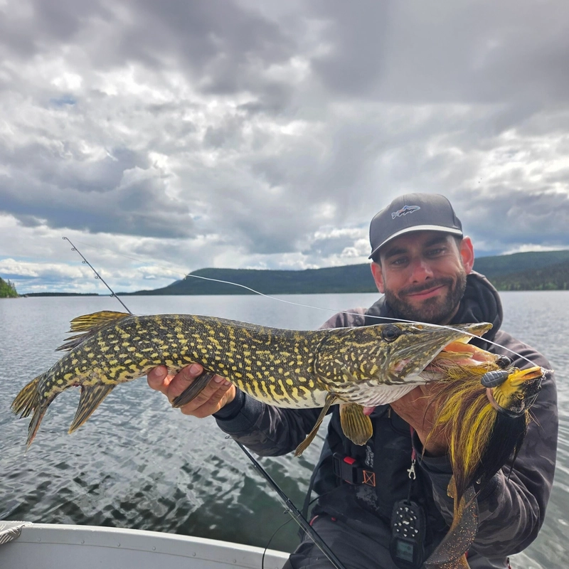 Fox Rage Buck Pike