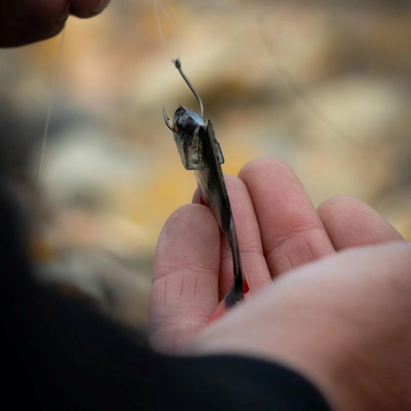 Fox Rage Ultra Natural Perch Fillets