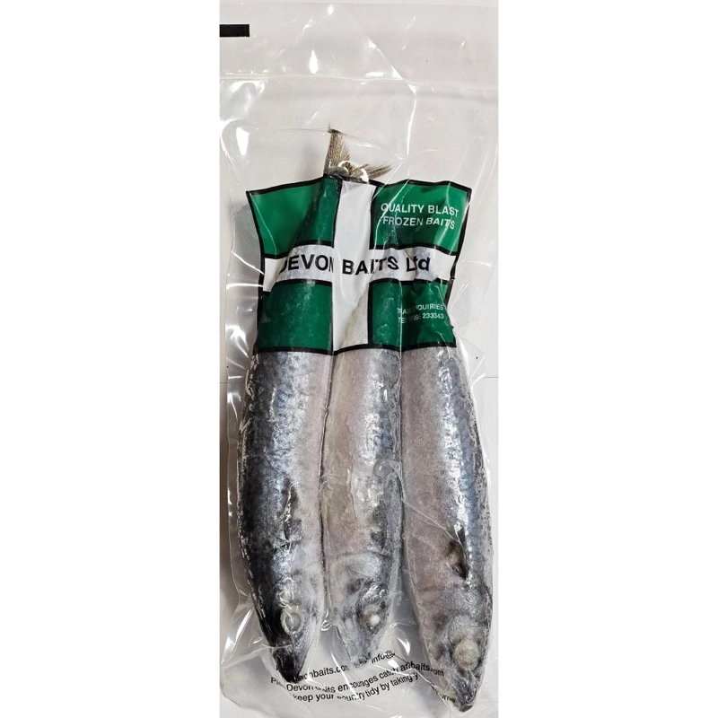 Devon Baits Spanish Mackerel